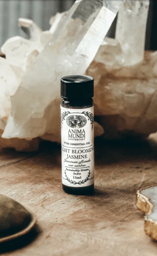 NIGHT BLOOMING JASMINE Essential Oil | Sustainably Cultivated - Image 2