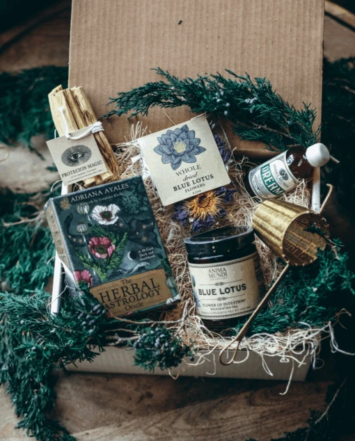 RITUAL KIT | Oracle + Ceremonial Magic - Image 2