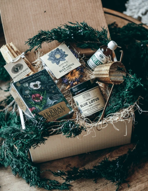 RITUAL KIT | Oracle + Ceremonial Magic - Image 5