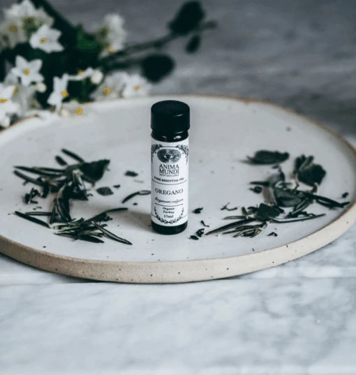 OREGANO Essential Oil | Organic - Image 2