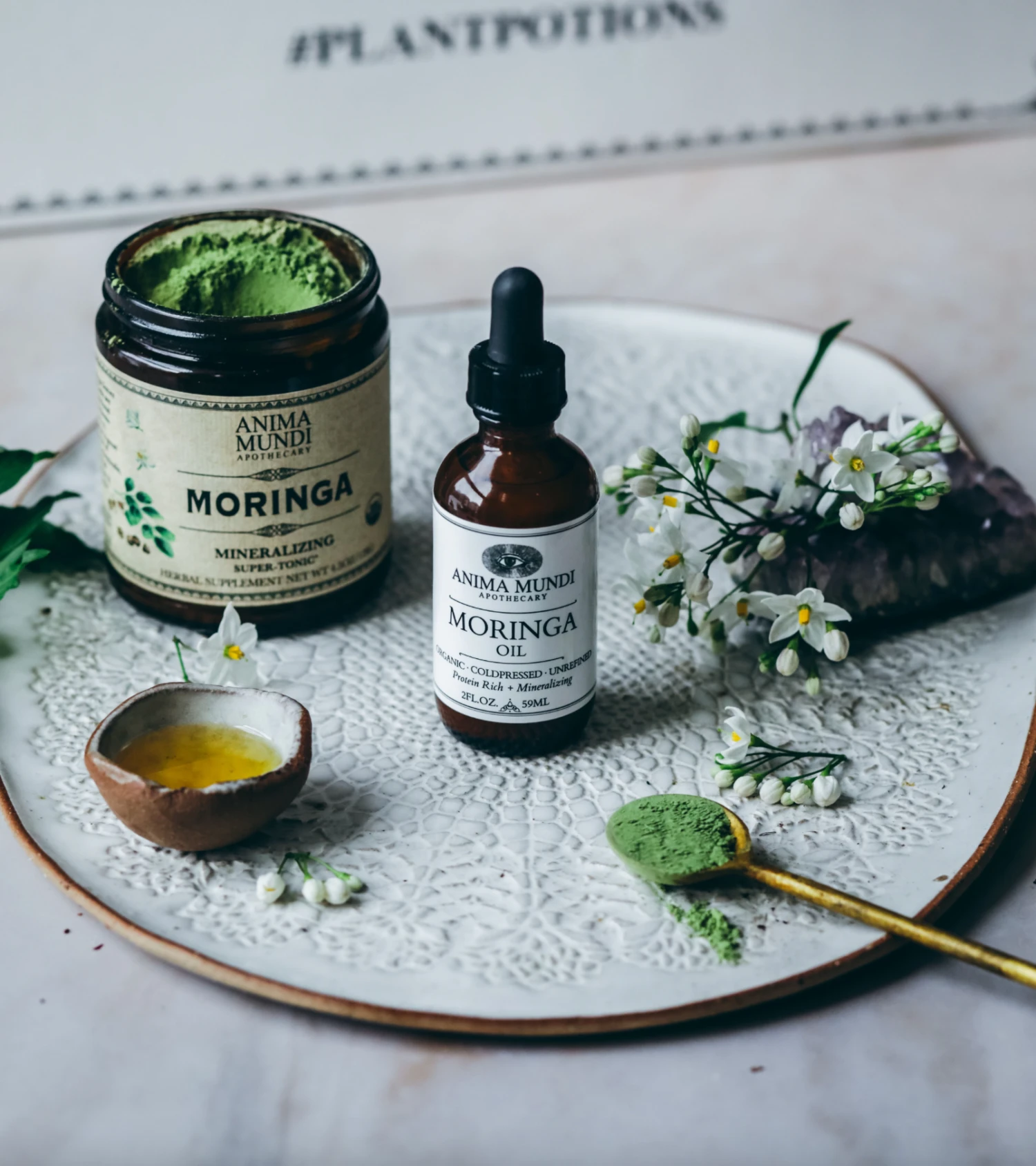 MORINGA OIL | Organic, Coldpressed, Unrefined - Image 2