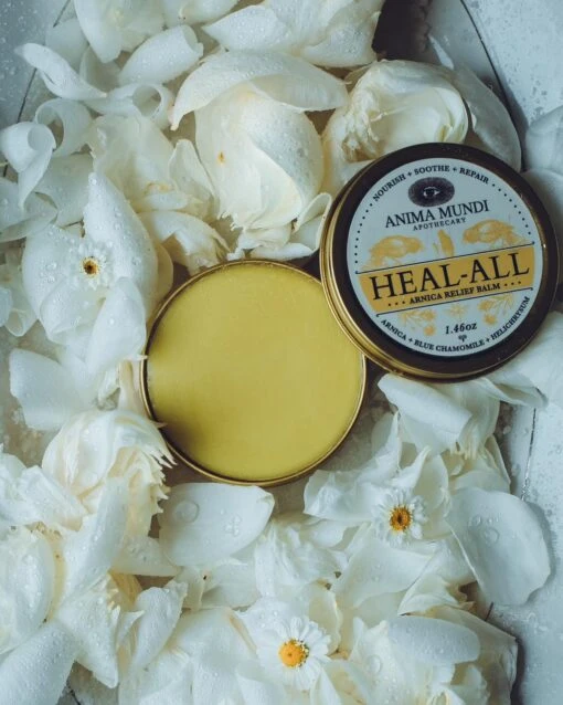 HEAL-ALL Arnica Relief Balm | Nourish, Soothe + Repair* - Image 2