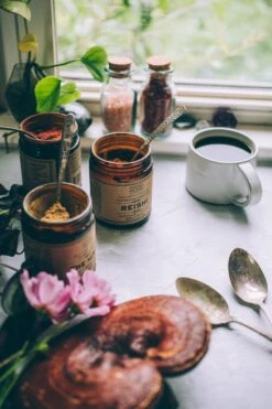 REISHI | Organic Mushroom Powder, Spirit Super-Tonic* -StrikeZone Store anima coffee reishi mind light 1926