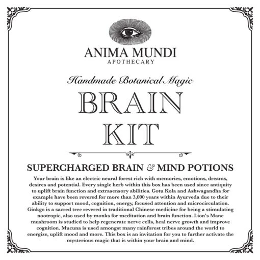 BRAIN KIT | Adaptogenic Nootropics* - Image 4