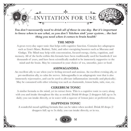 BRAIN KIT | Adaptogenic Nootropics* - Image 5