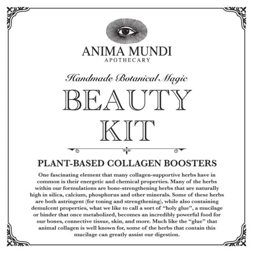 COLLAGEN BEAUTY KIT | Skin, Hair, Nails + Bones* - Image 6