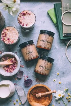 LION'S MANE | Organic Mushroom Powder, Focus Tonic* -StrikeZone Store anima mundi july 2019 1393