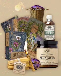 RITUAL KIT | Oracle + Ceremonial Magic -StrikeZone Store anima mundi ritual kit bundle