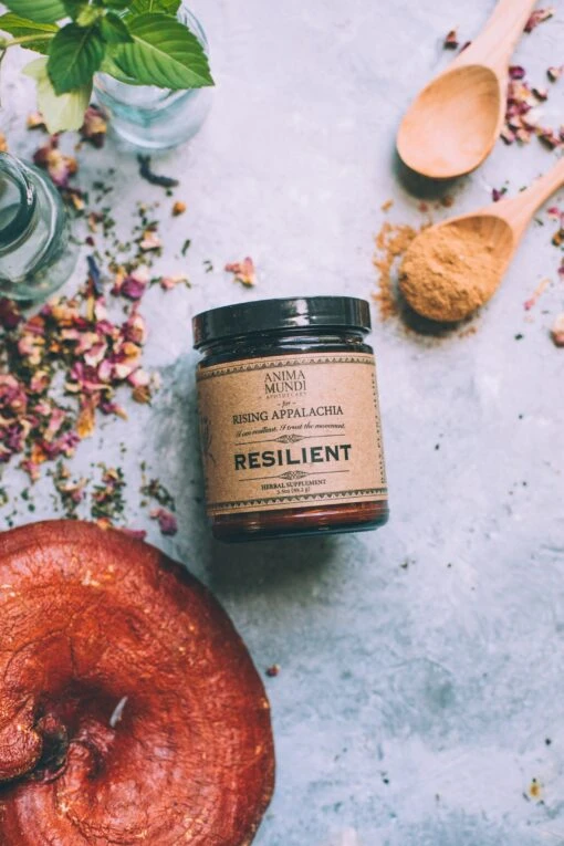 RESILIENT Powder | Adaptogens + Cacao - Image 3