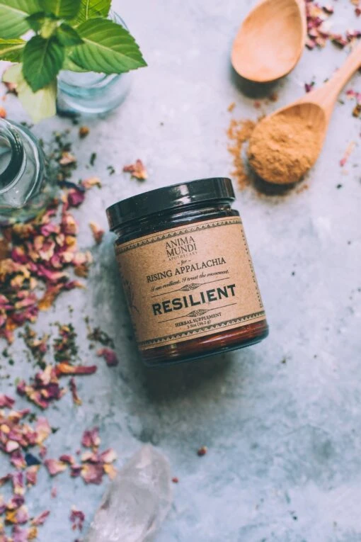 RESILIENT Powder | Adaptogens + Cacao - Image 2