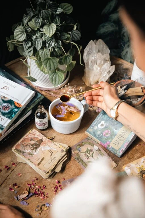 HERBAL ASTROLOGY Oracle | 55-Card Deck + Guidebook - Image 9