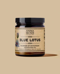 BLUE FLOWER | Blossom Of Intuition*