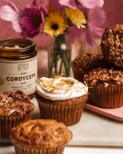 CORDYCEPS | Organic Mushroom Powder, Energy Super Tonic* -StrikeZone Store dhjwdhjw 3