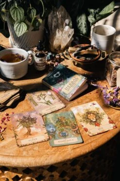 HERBAL ASTROLOGY Oracle | 55-Card Deck + Guidebook -StrikeZone Store h JmYmY