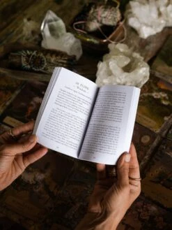 HERBAL ASTROLOGY Oracle | 55-Card Deck + Guidebook -StrikeZone Store image 0eab6aed 8e80 4e4e b601 c5d1cad44b08