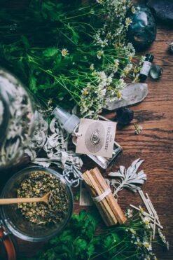 PALO SANTO WATER Protection Myst | Auric Purification -StrikeZone Store image f058c716 6bfc 4935 9b45 cf8c59a04ee5