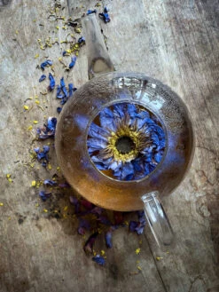 WHOLE BLUE FLOWERS | Blossoms Of Intuition* -StrikeZone Store image fbdfe2c1 1aac 4305 b5c9 a3698729bb61