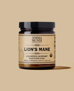 LION'S MANE | Organic Mushroom Powder, Focus Tonic*