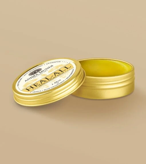 HEAL-ALL Arnica Relief Balm | Nourish, Soothe + Repair* - Image 12