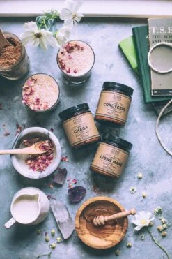 Adaptogenic Mushroom Set, Organic + Locally Grown | BUNDLE -StrikeZone Store mushrooms spread renee