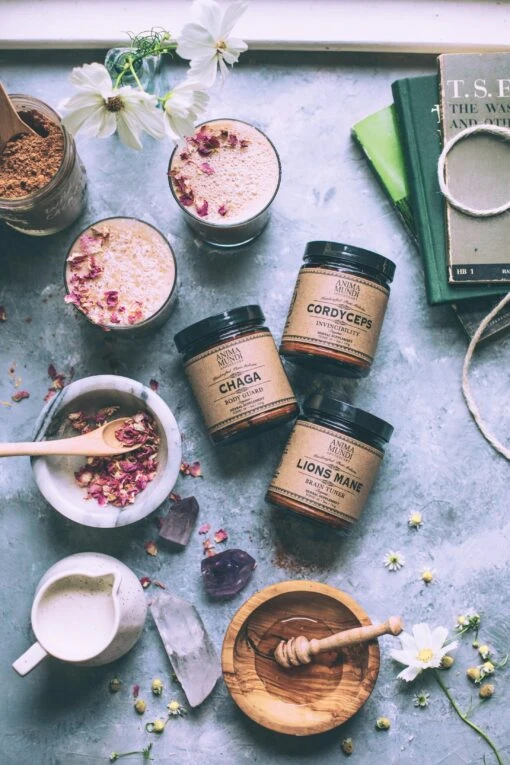 Adaptogenic Mushroom Set, Organic + Locally Grown | BUNDLE - Image 3