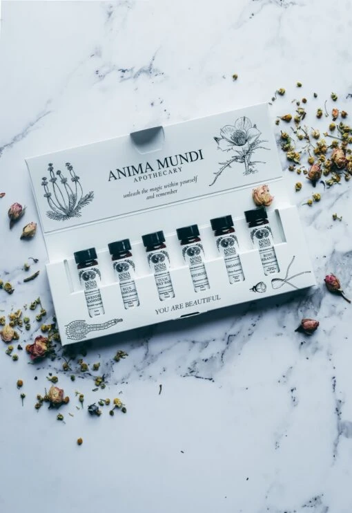 RELAX + DE-STRESS KIT | 6 Essential Oils - Image 2