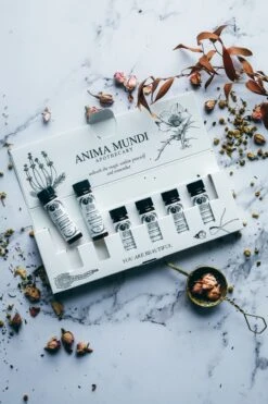 RELAX + DE-STRESS KIT | 6 Essential Oils -StrikeZone Store relax2