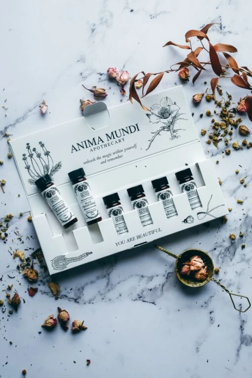RELAX + DE-STRESS KIT | 6 Essential Oils - Image 3
