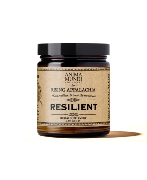 RESILIENT Powder | Adaptogens + Cacao - Image 4
