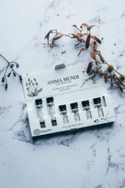 SACRED TREES KIT | 6 Essential Oils