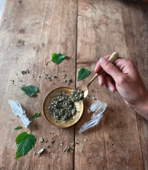 WOMB Tea | Nourish + Empower* - Image 9