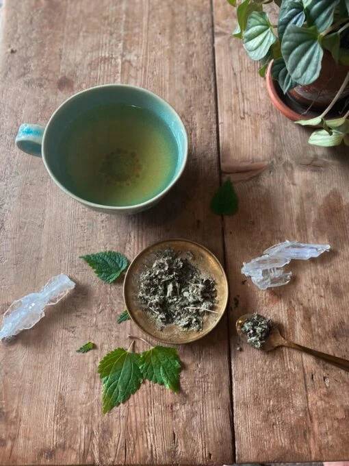 WOMB Tea | Nourish + Empower* - Image 10