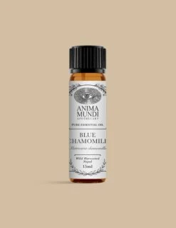 BLUE CHAMOMILE Essential Oil | Sustainably Cultivated