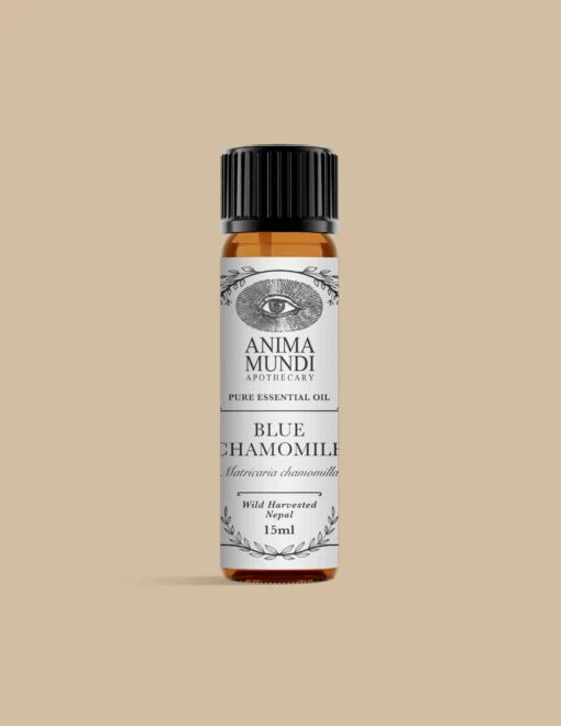 BLUE CHAMOMILE Essential Oil | Sustainably Cultivated